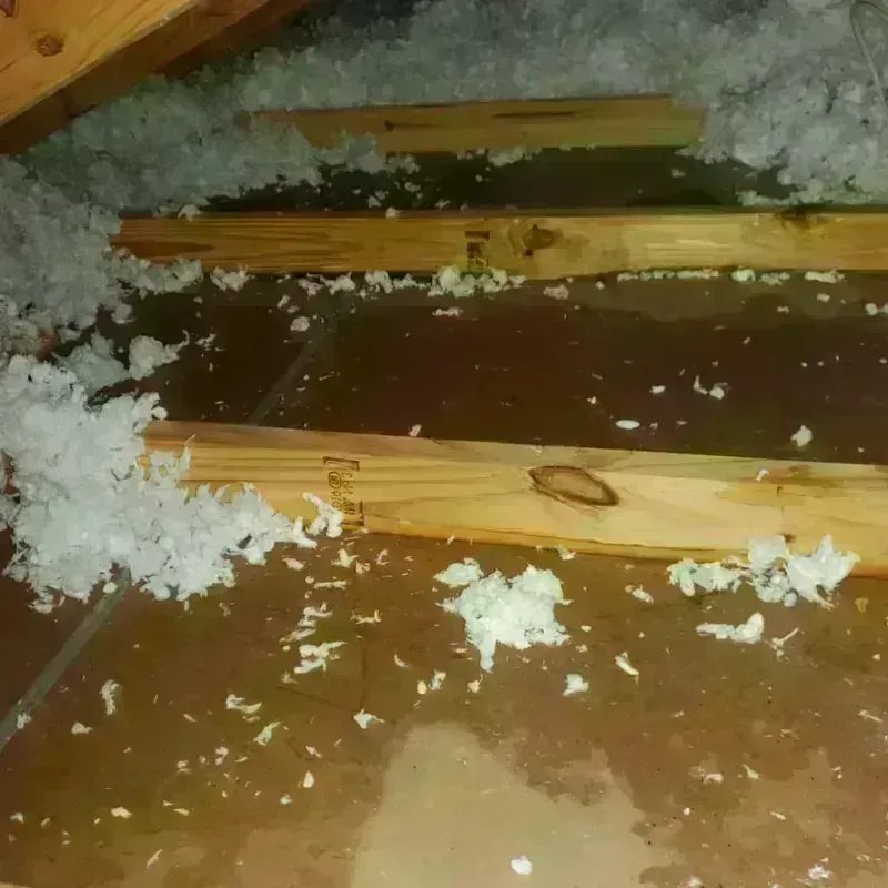 Attic Water Damage in Water Valley, MS