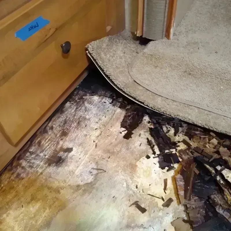 Wood Floor Water Damage in Water Valley, MS